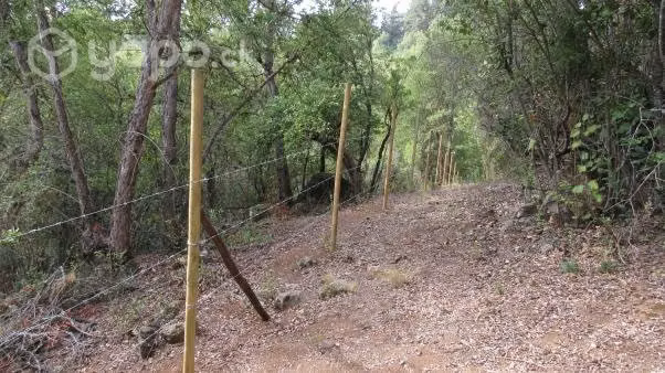 Parcela 5.5 has sector Vilches San Clemente - Imagen 7