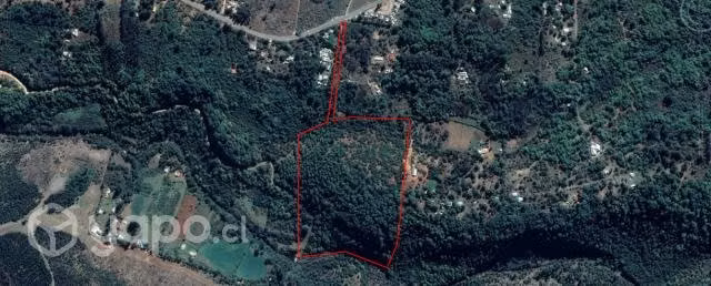 Parcela 5.5 has sector Vilches San Clemente - Imagen 15