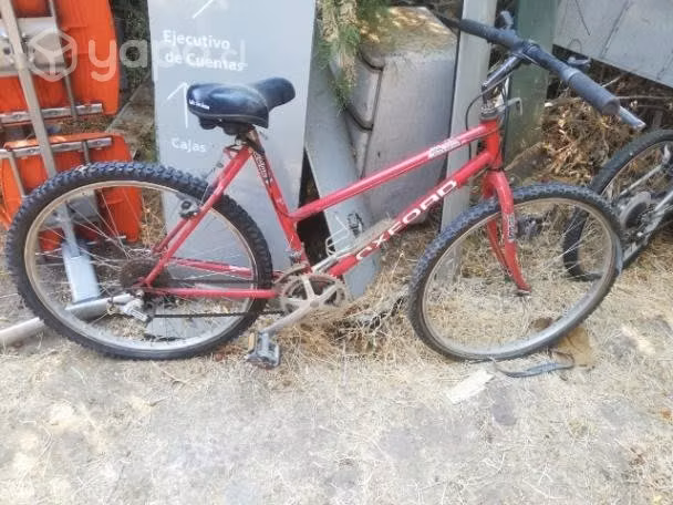 Bicicleta - Imagen 1