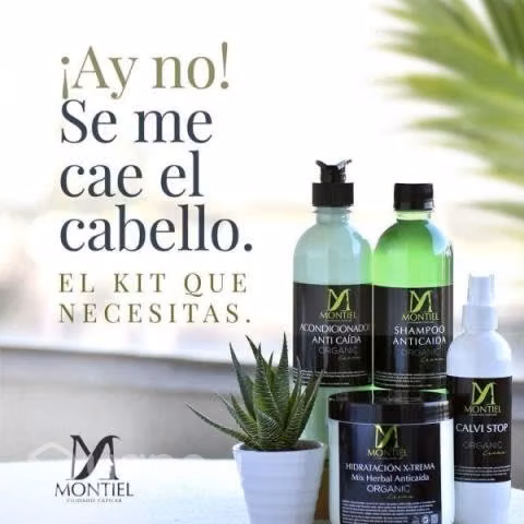 Kit Anticaída
