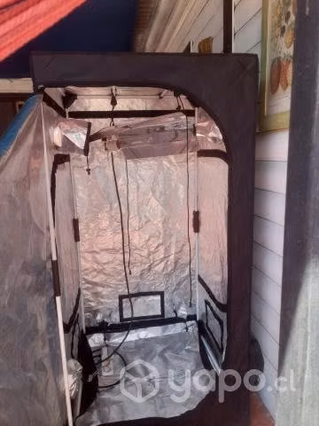 Carpa de cultivo indoor probox 80x80x160