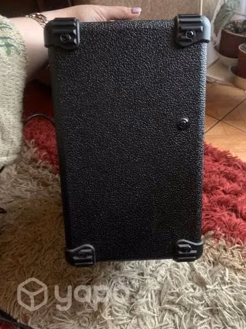 Amplificador Mashburn