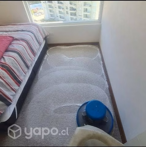 Servicio de Limpieza de alfombras y tapices