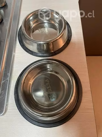 Artículos de mascota