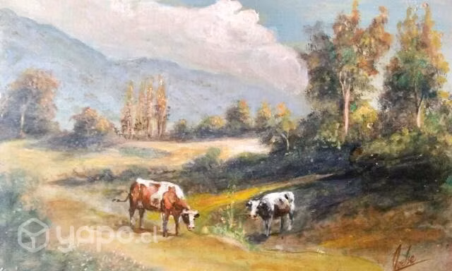 Cuadros Originales , Artista , Joelse