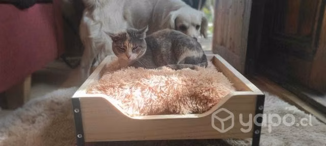Cama de Mascotas
