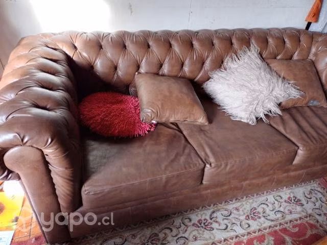 Muebles frigider Chesterfield