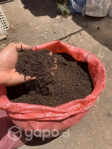 Compost 30 Lt