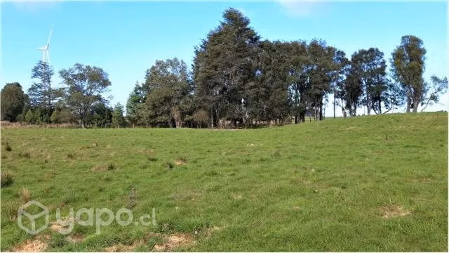 Parcela En Brisas De Loncotoro, Llanquihu - Imagen 11