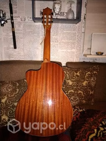 Guitarra electroacústica Palmer Tanis ceqn