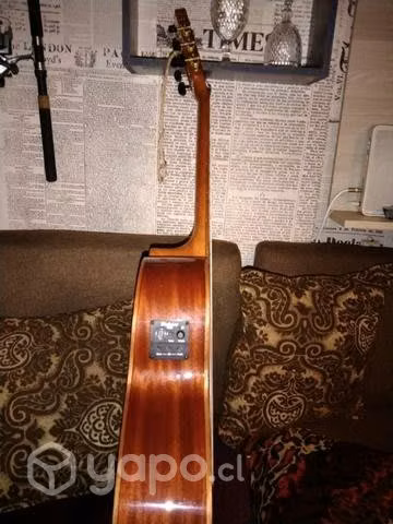 Guitarra electroacústica Palmer Tanis ceqn