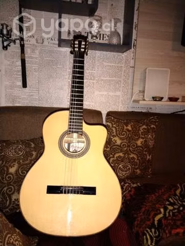 Guitarra electroacústica Palmer Tanis ceqn