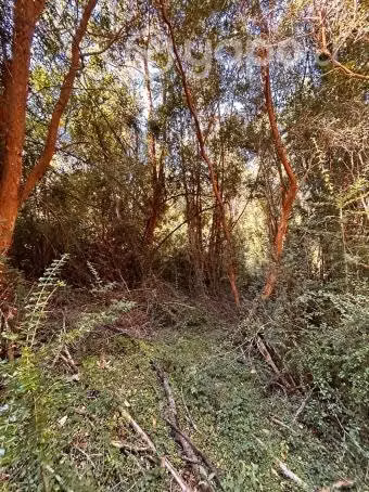 Linda Parcela con rol propio, Cercana a Río
