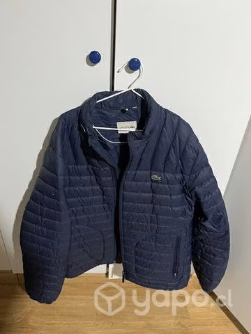 Chaqueta lacoste xxl