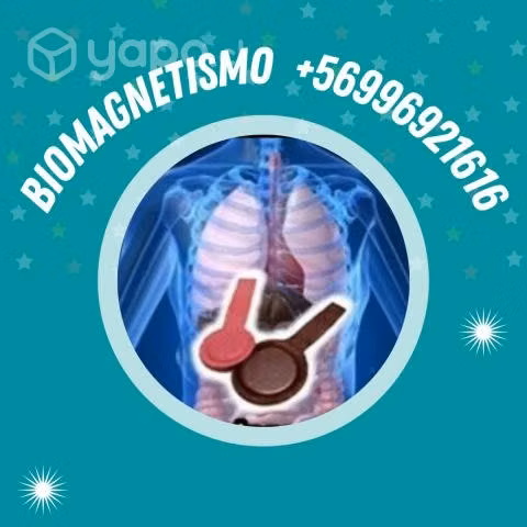 Biomagnetismo