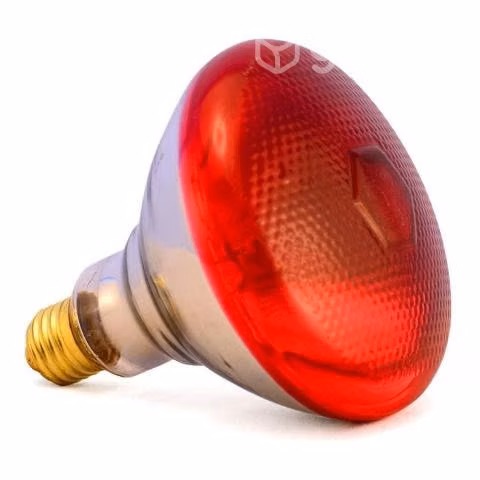Ampolleta infrarroja 175 watts