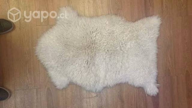 Pieles para decoración