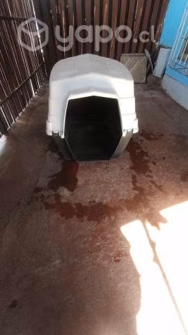 Casa para perro