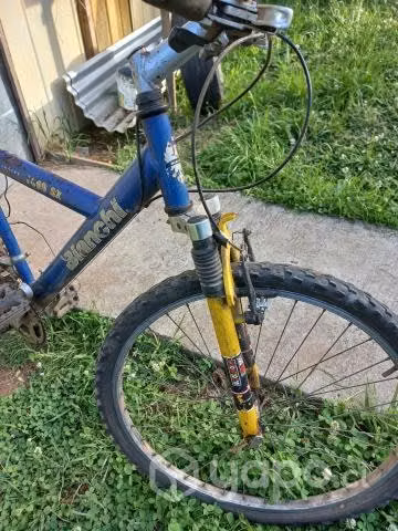 Bicicleta Bianchi Aro 26 - Imagen 3