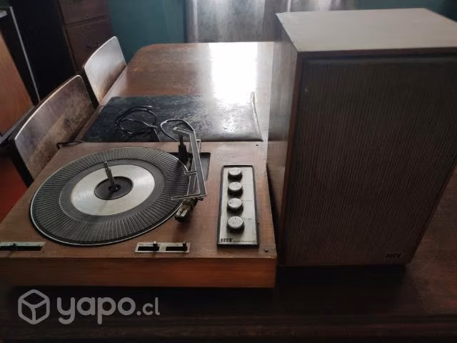 Tocadiscos y + de 50 vinilos ( discos)
