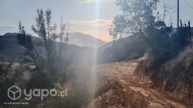 7mil mt² sector CAMARICO la Vega olmue - Imagen 6