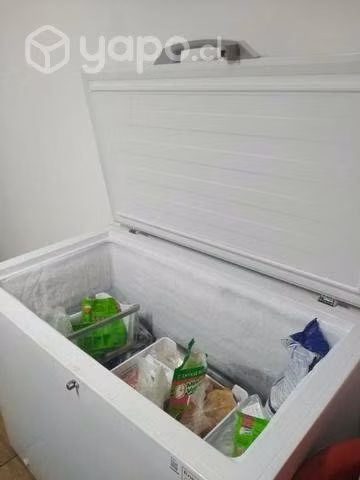 Congeladora 400l