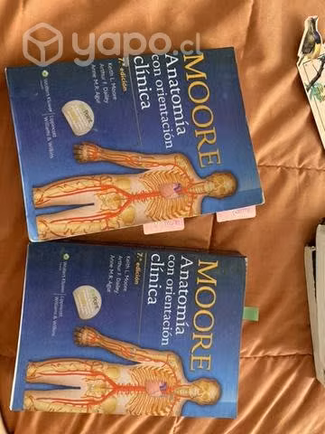 Libros anatomia de moore a color