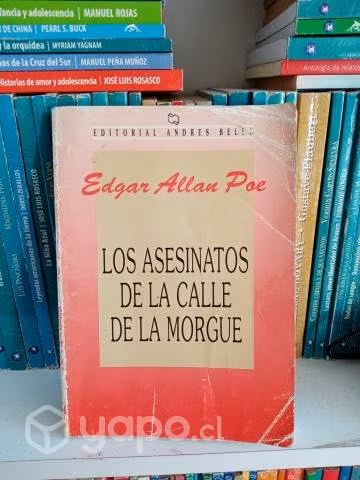 Los Asesinatos de la Calle Morgue