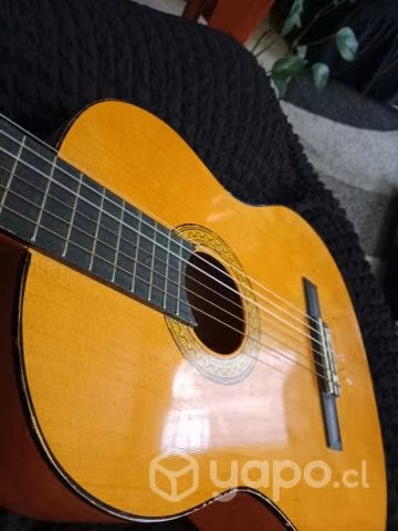 Guitarra mercury