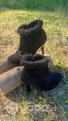Botin dama