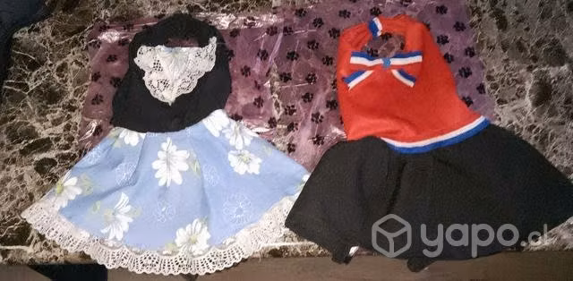 Ropa para gatitos