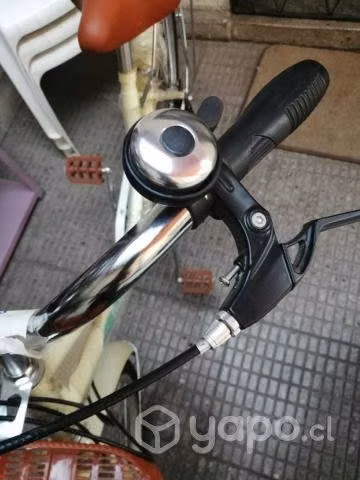 Bicicleta Urbana Puleda