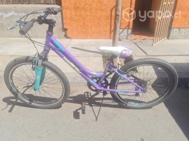 Bicicleta aro 24 bernice morada