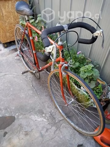 Bicicleta media pista