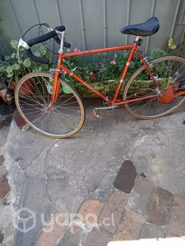 Bicicleta media pista - Imagen 4