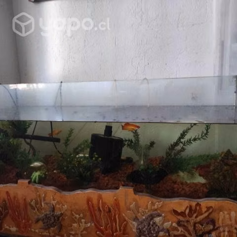 Acuario en muy buen estado