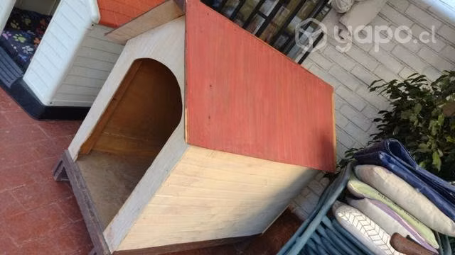 Casa perrito