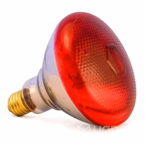 Ampolleta infraroja de 150 watts