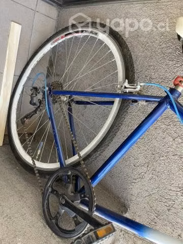 Bicicleta bicolor