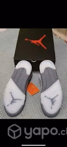 Retro 5 blue bird