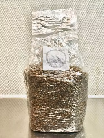 Grano Estéril Sustrato Esteril