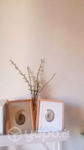 Cuadros decorativos