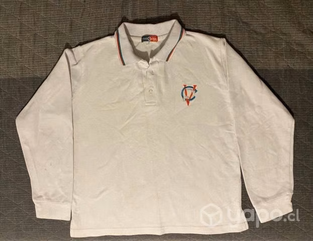 Polera hombre colegio pedro de valdivia