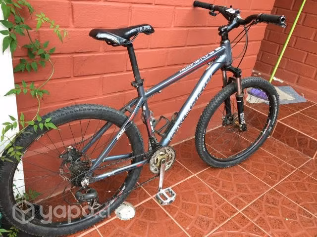 Bicicleta Oxford - Imagen 3