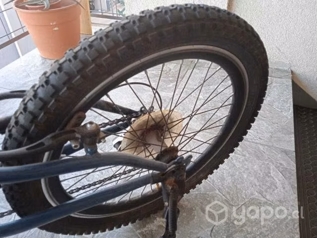 Bicicleta marca Lahsem - Imagen 4