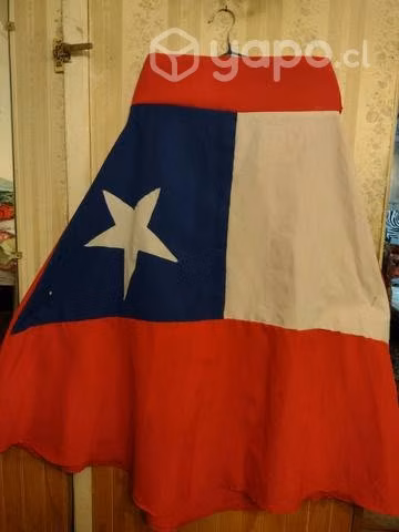 Fiestas Patrias