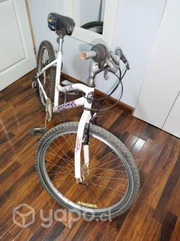 Bicicleta Oxford 24"