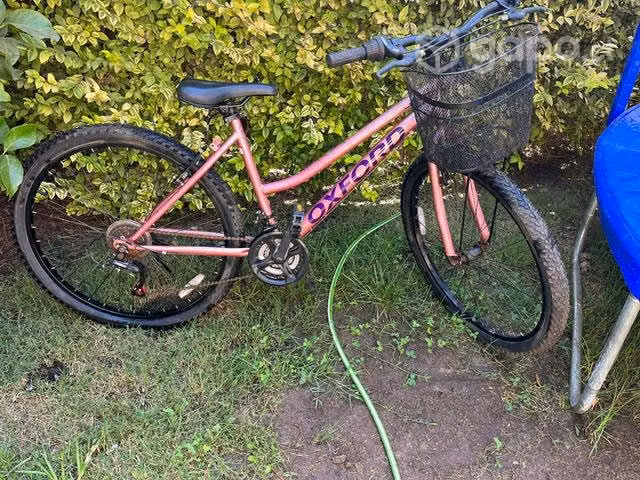 Bicicleta Oxford luna aro 27,5