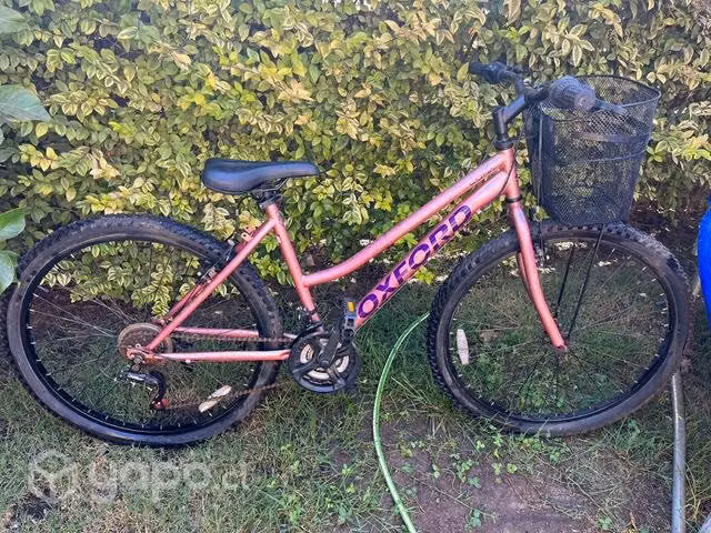 Bicicleta Oxford luna aro 27,5