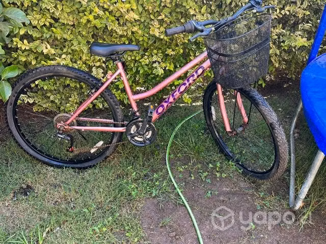 Bicicleta Oxford luna aro 27,5